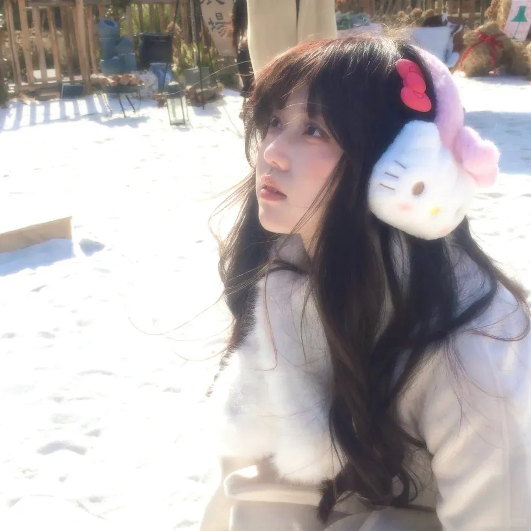 伪装大师2:完美骗局
