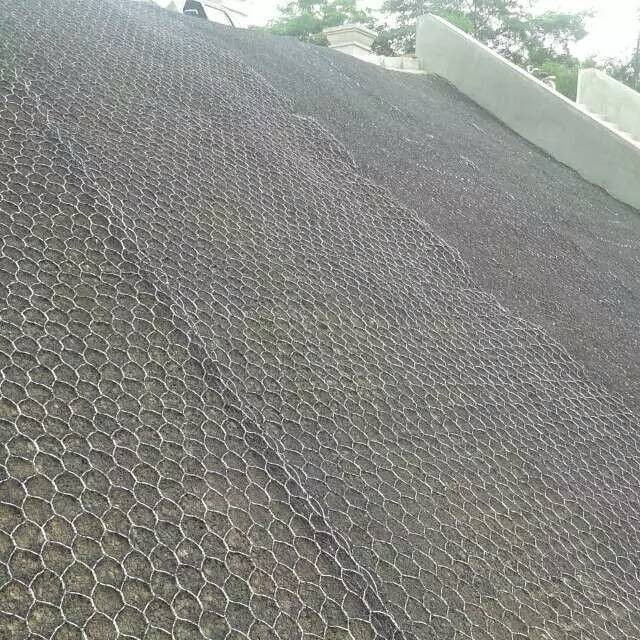 僸ߠӽˉ|